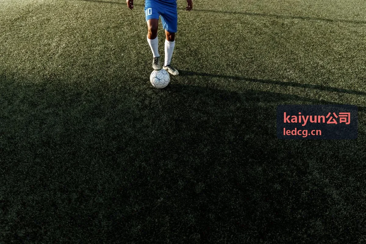 kaiyun公司企业数字化解决方案