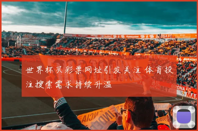 世界杯买彩票网址引发关注 体育投注搜索需求持续升温