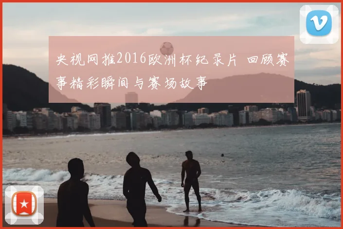 央视网推2016欧洲杯纪录片 回顾赛事精彩瞬间与赛场故事