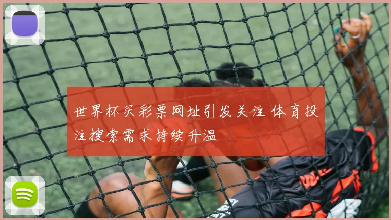 世界杯买彩票网址引发关注 体育投注搜索需求持续升温